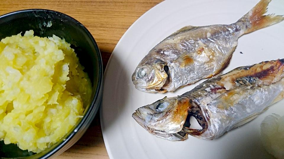 アジとバケラの塩焼きと芋飯 #さつまいも #アジ #バケラ #魚料理