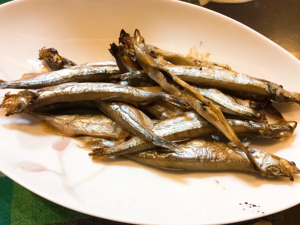 シシャモ🐟さん😋❣️|アライさんさん