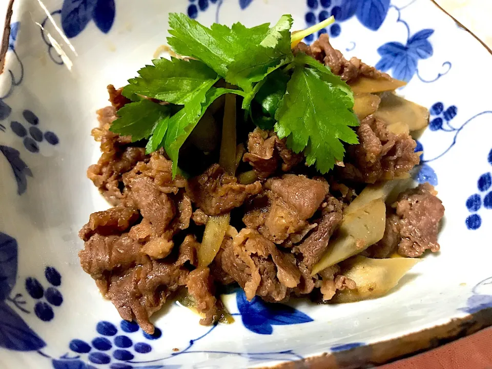 牛肉とごぼうの煮物

 #牛肉と牛蒡の甘辛煮|優依さん