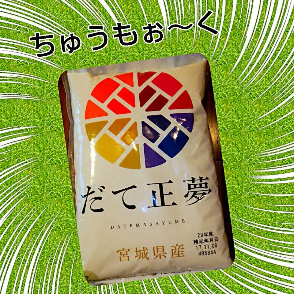 "だて正夢"御披露目～❗ぁ御披露目～❗|あやさん