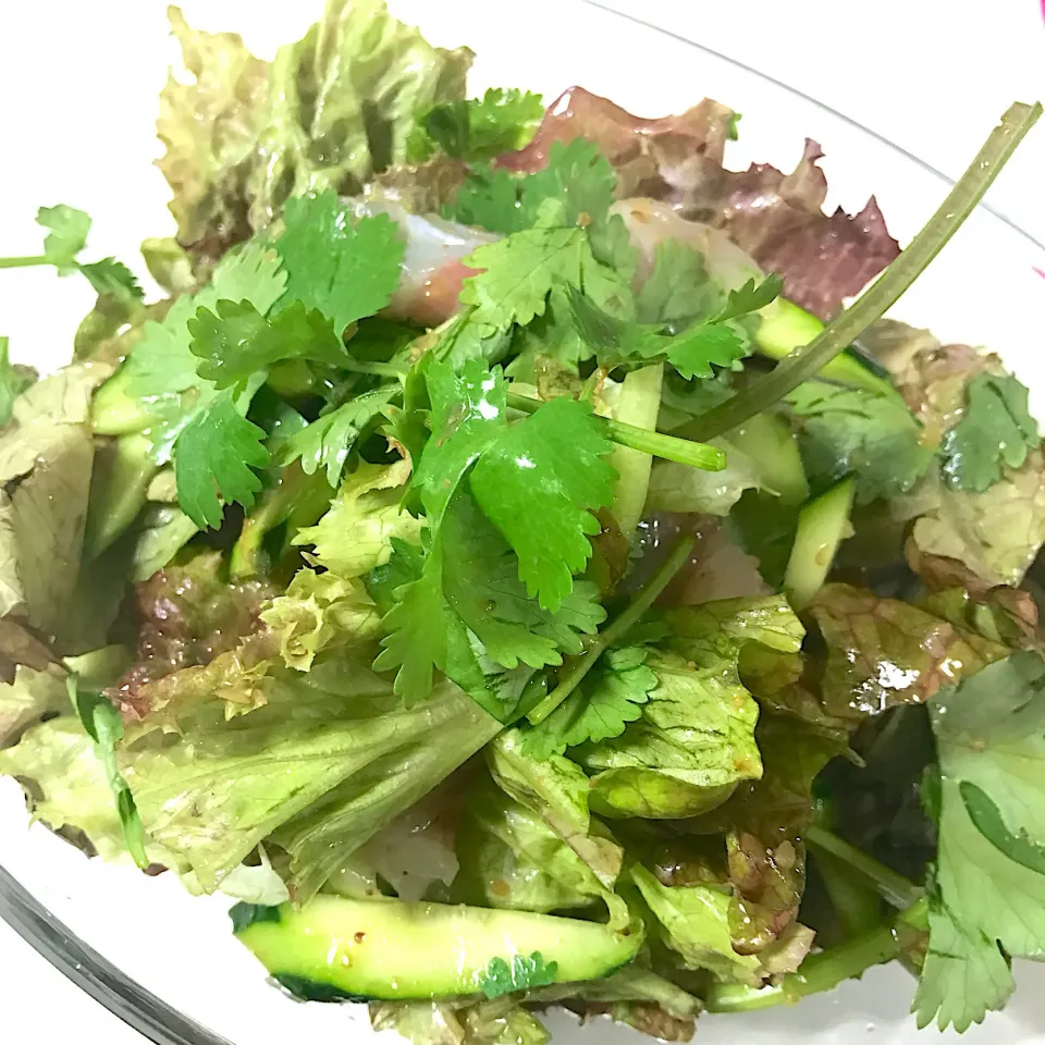 鯛のエスニックサラダ🥗
 #サラダ  #鯛  #エスニックサラダ  #パクチー|HALさん