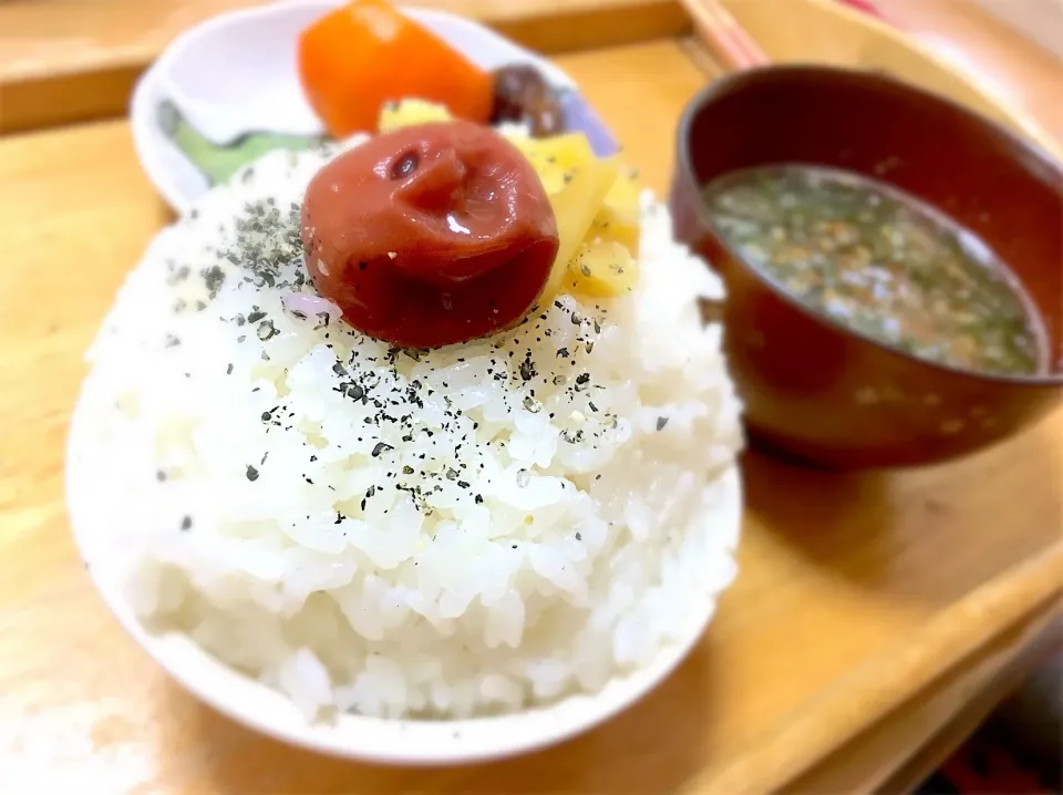 炊きたてご飯🍚自家製梅干し|かわちさん