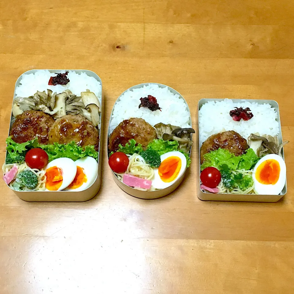 煮込みハンバーグ弁当|sachiさん