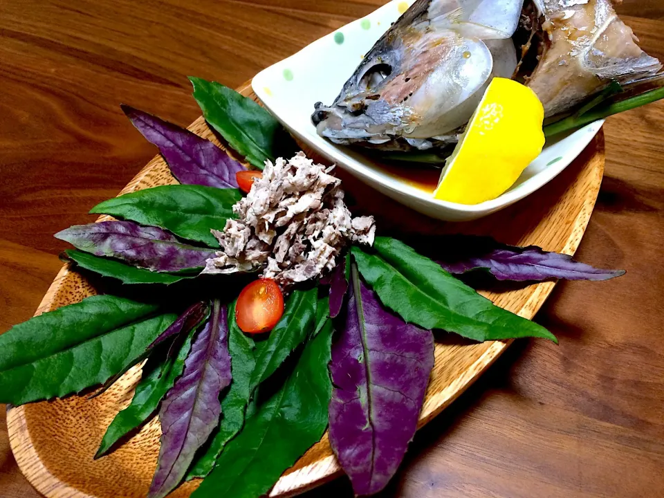 漁港直売ゾーダガツオ🐟
食べ尽くし❣️その１
カマ茹しょうゆ＆マヨ和えスキ身のせ金時草サラダ🍀|ぱぴこ家さん