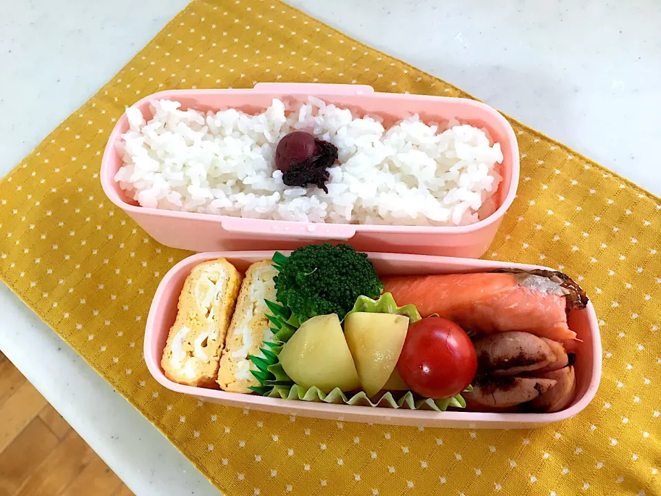 今日のお弁当🍱 甘塩鮭ϵ( 'Θ' )϶|くっきいさん