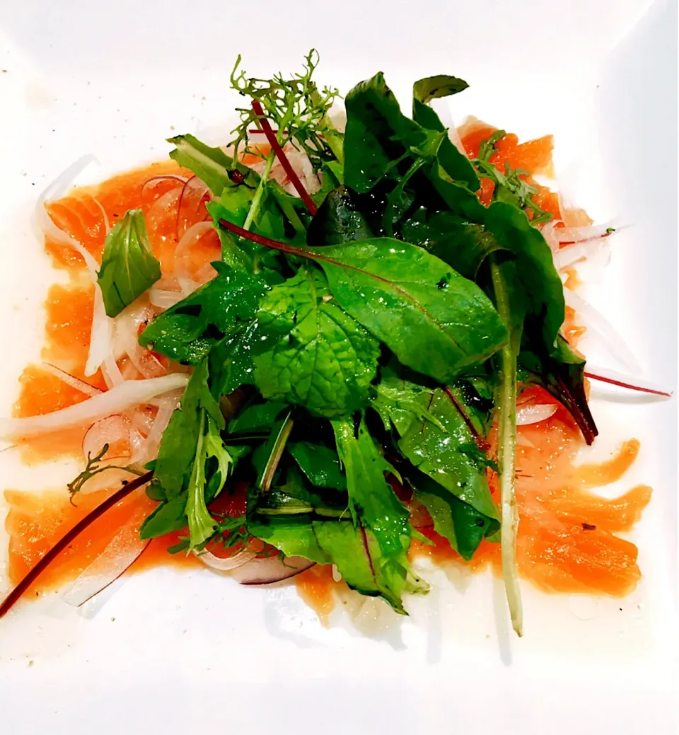 Pacific salmon marinated w/sea salt, granulated sugar and herbs|gonbenさん