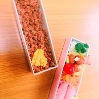 Snapdishの料理写真:#おべんとう  そぼろ弁当 ハンバーガー風ミートボール うさぎウインナー|さやかさん