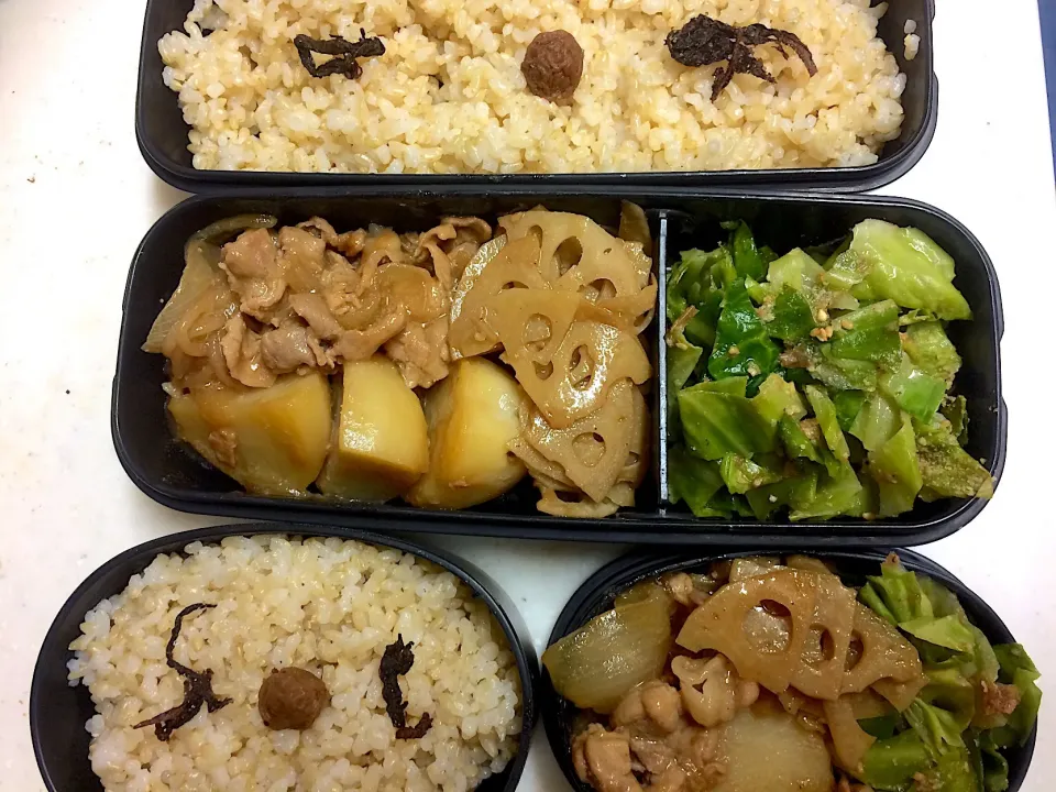 Snapdishの料理写真:#今日のお弁当 肉じゃが、蓮根のきんぴら、レンジ蒸しキャベツのごまおかか和え|Victoryageさん