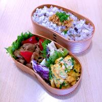 息子のお弁当