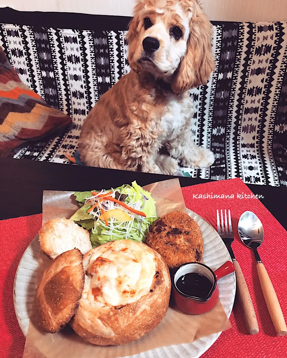 夜ご飯にパングラタンとコロッケ🍞|Kashimanakitchenさん