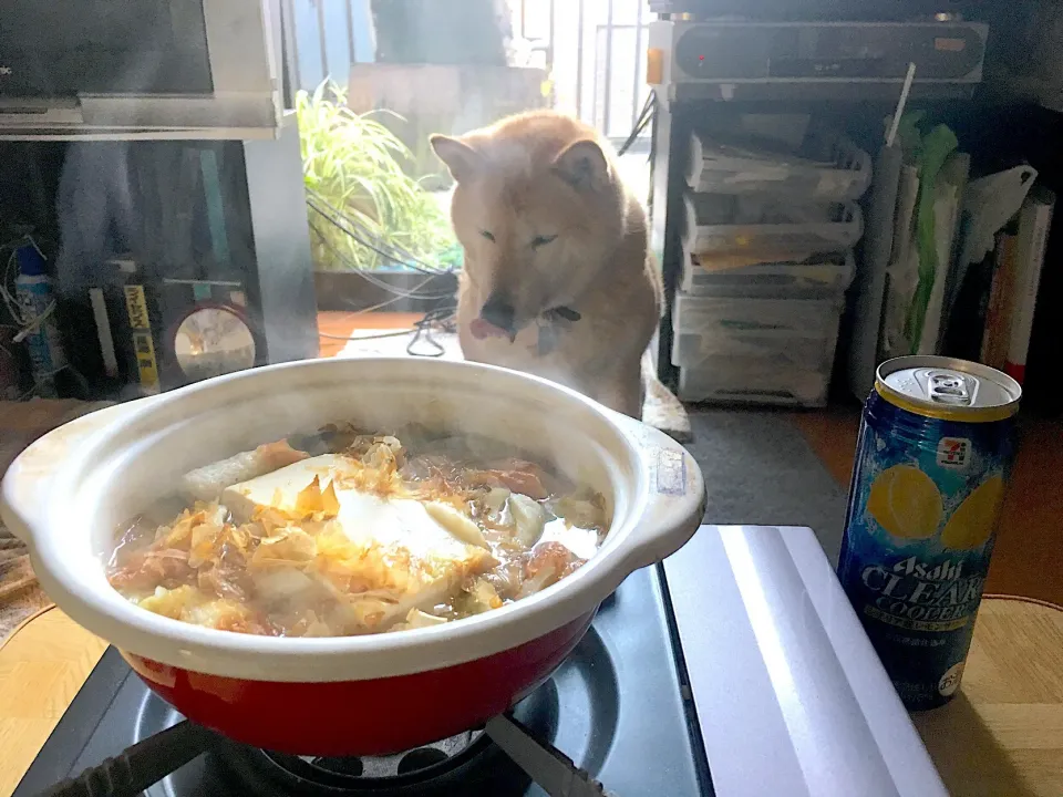 今季1番の冷え込みになった夜勤明け湯豆腐で温まります🍲|Tarou  Masayukiさん