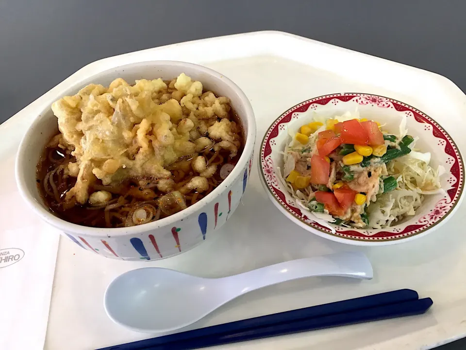 蕎麦、ごぼう天、揚げ玉、チキンとインゲンの胡麻サラダ|Tadahiko Watanabeさん