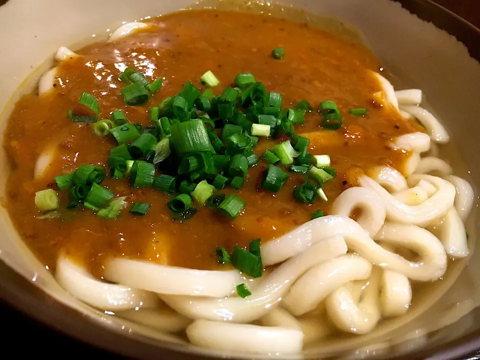 立食いそば手帳 名店120［首都圏編］びっくりうどん本舗（宝町）カレーうどん 171117|ゆうじ.さん