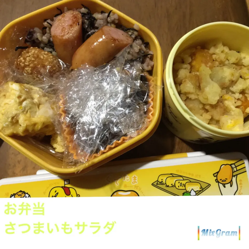 11.14  ランチ  お弁当🍱|宙まめさん