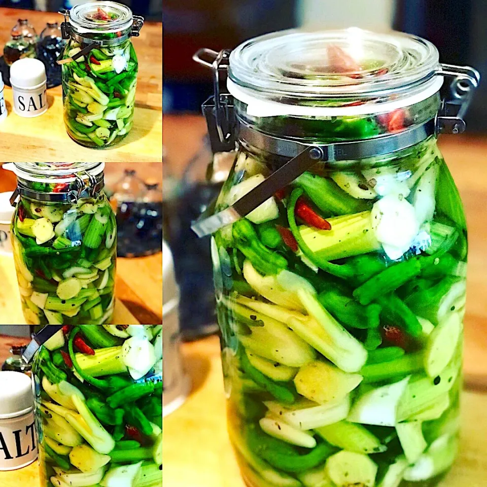 Homemade Pickling Celery, Green Peppers, Fresh Garlic,Ginger Chilli,  Cider & White Wine Vinegar|Emanuel Hayashiさん