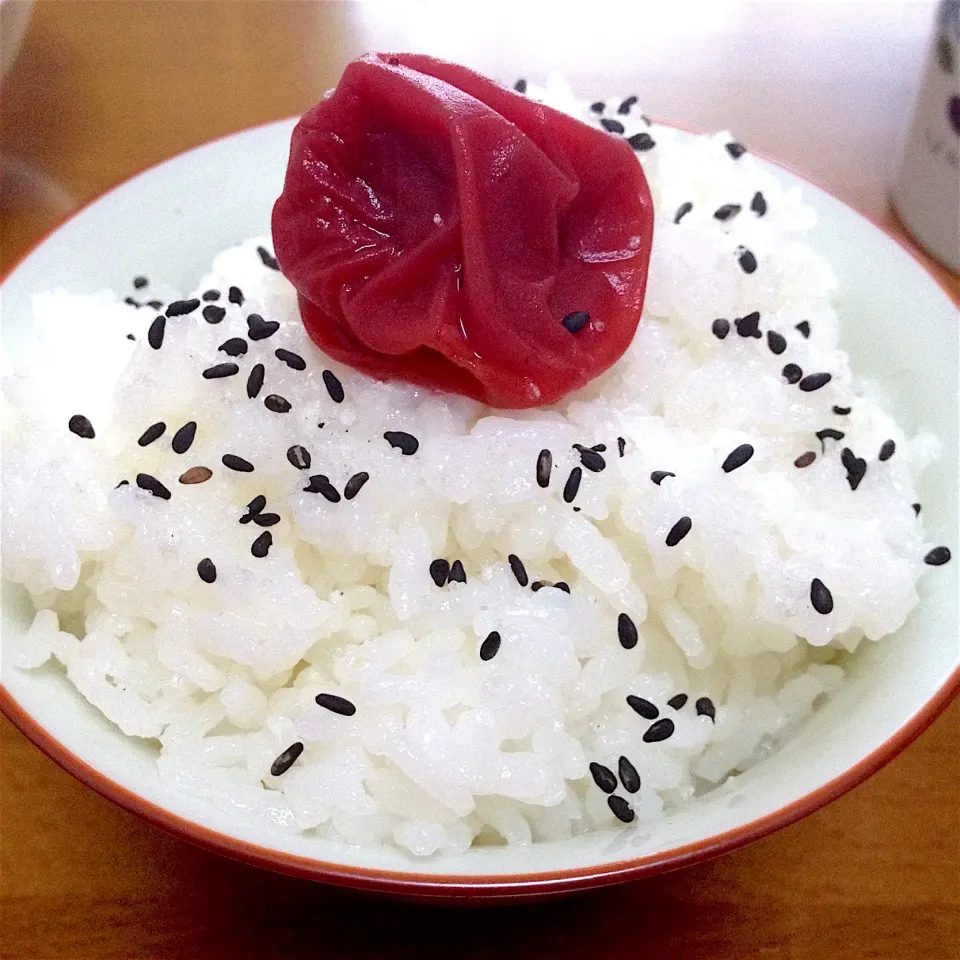 炊きたてご飯🍚梅干し&ごま塩😌❤️|まいりさん