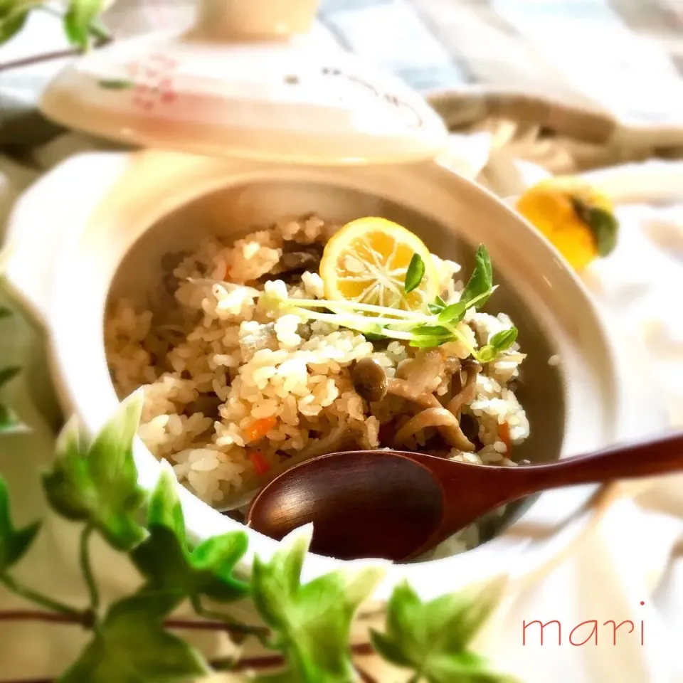 鳥ごぼうの炊き込みご飯
#炊き込みご飯 #おうちごはん #手作りごはん|まーり（@mariyuiren）さん