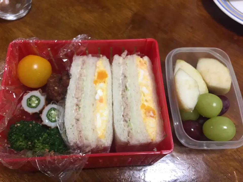 ムスメ遠足弁当|さんだーさん