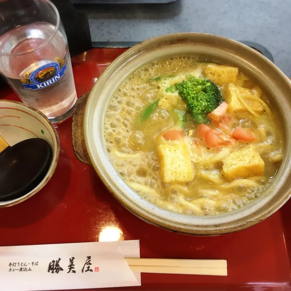 彩り野菜のカレー煮込みうどん|美也子さん