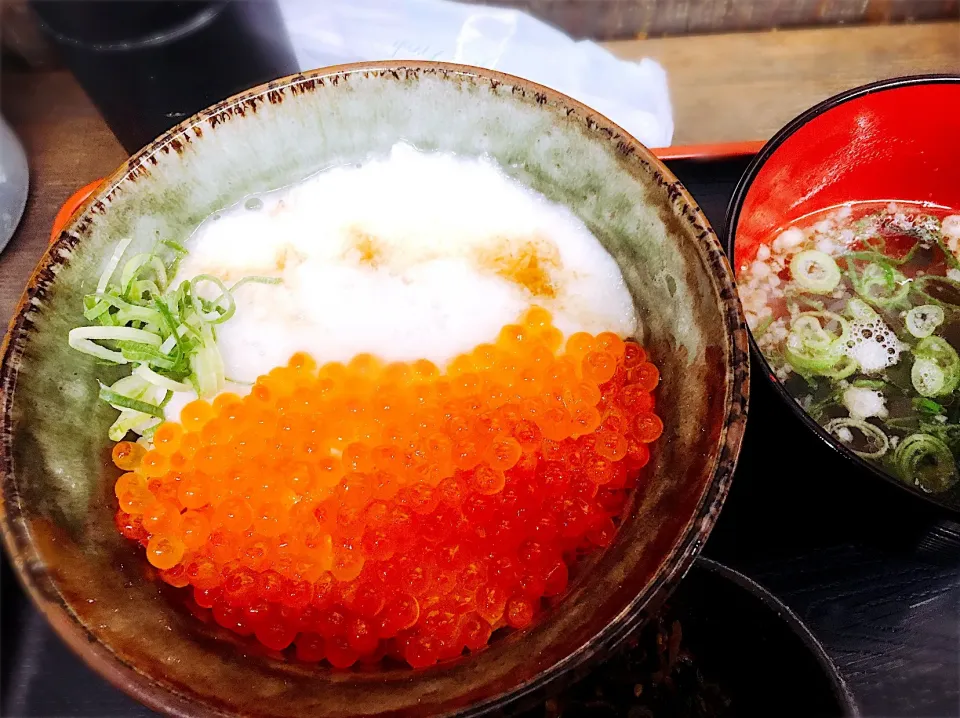 Snapdishの料理写真:いくらトロロ丼|yukki☃さん