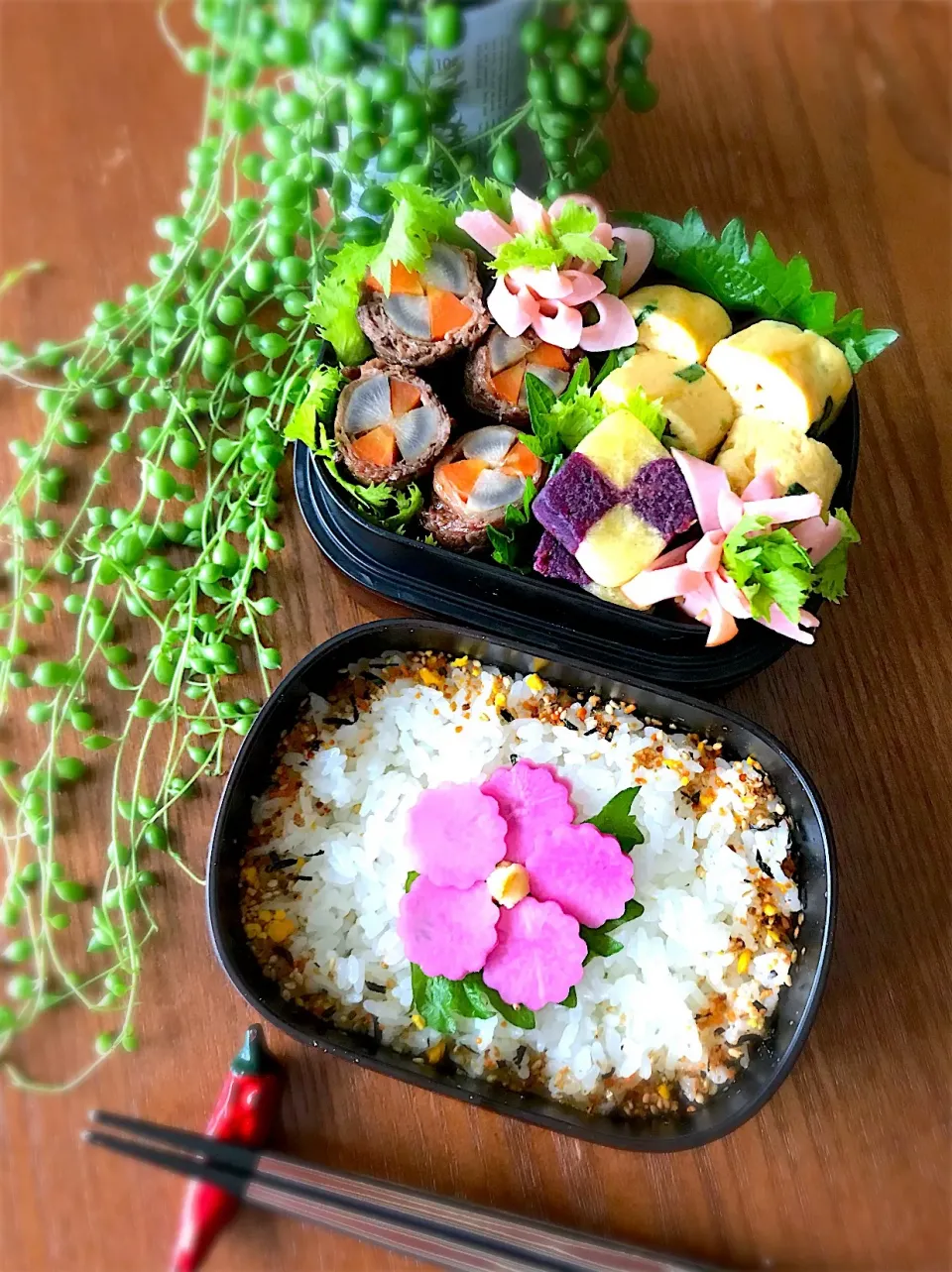 🌸🌸紅しぐれ大根の浅漬けでお飾り弁当🌸🌸 #お弁当 #牛肉のごぼう人参巻き #だし巻き卵 #いももち #紫芋|呑兵衛料理家 おねこさん