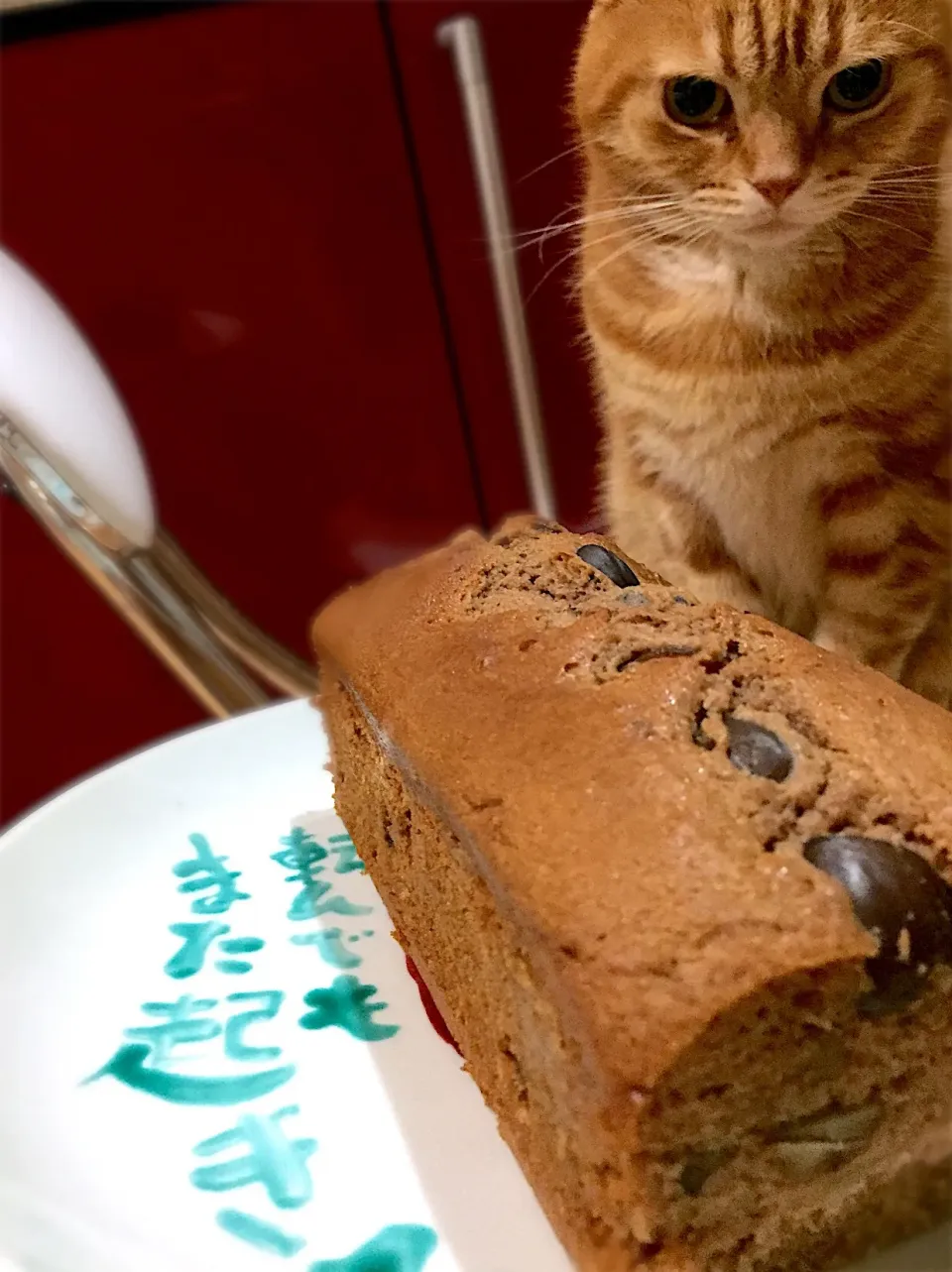 栗のショコラパウンドケーキ🌰|さくらんぼさん