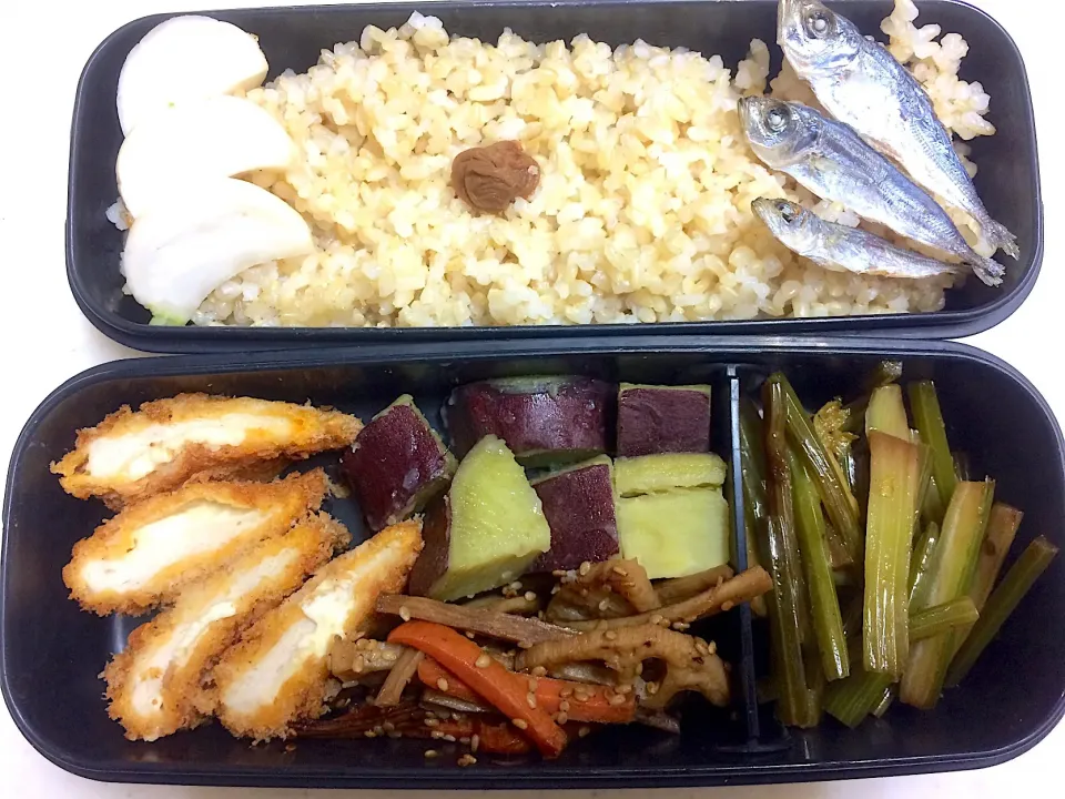 #今日のお弁当 チキンチーズカツ、さつまいもの甘煮、きんぴらごぼう＋蓮根、セロリのきんぴら|Victoryageさん