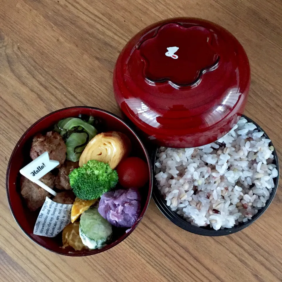 11/24 お弁当🍱|カタツムリさん