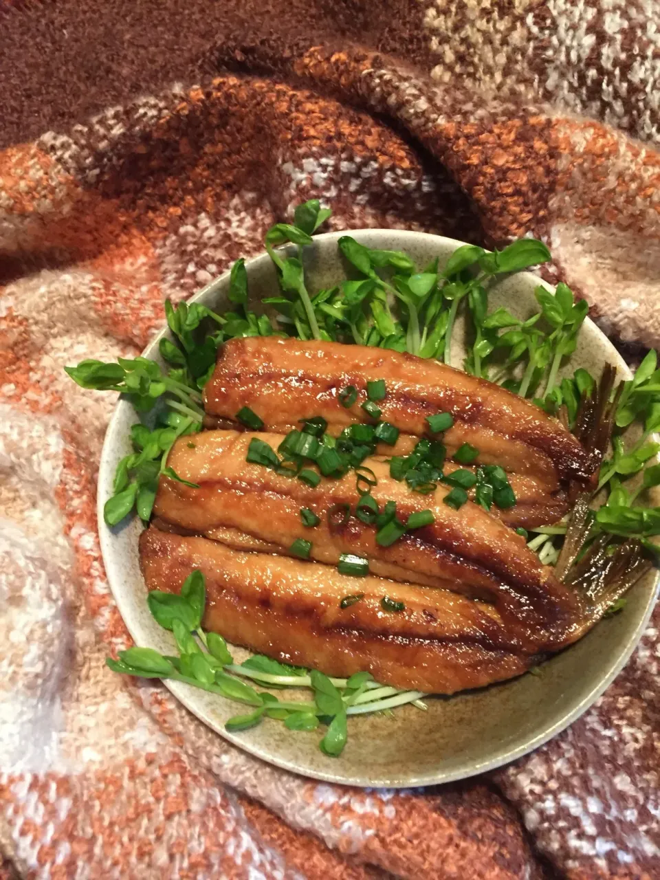 まるまちゃん🙆💕のイワシの蒲焼き🐟😋✨|ボンバーさん