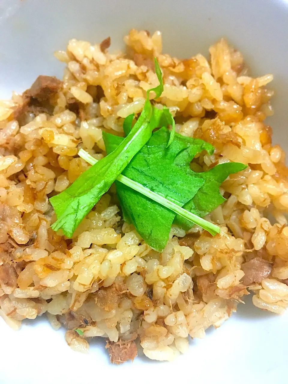 Snapdishの料理写真:まぐろの時雨煮炊き込み御飯|綾さん