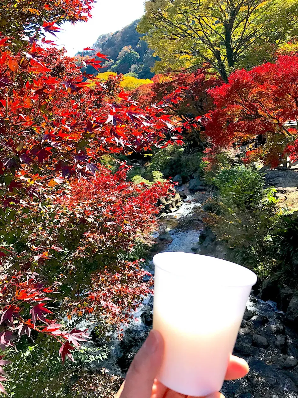 熱海梅園でのもみじ祭り🍁
甘酒３００円ノンアルコール
米こうじのあま酒|シュトママさん