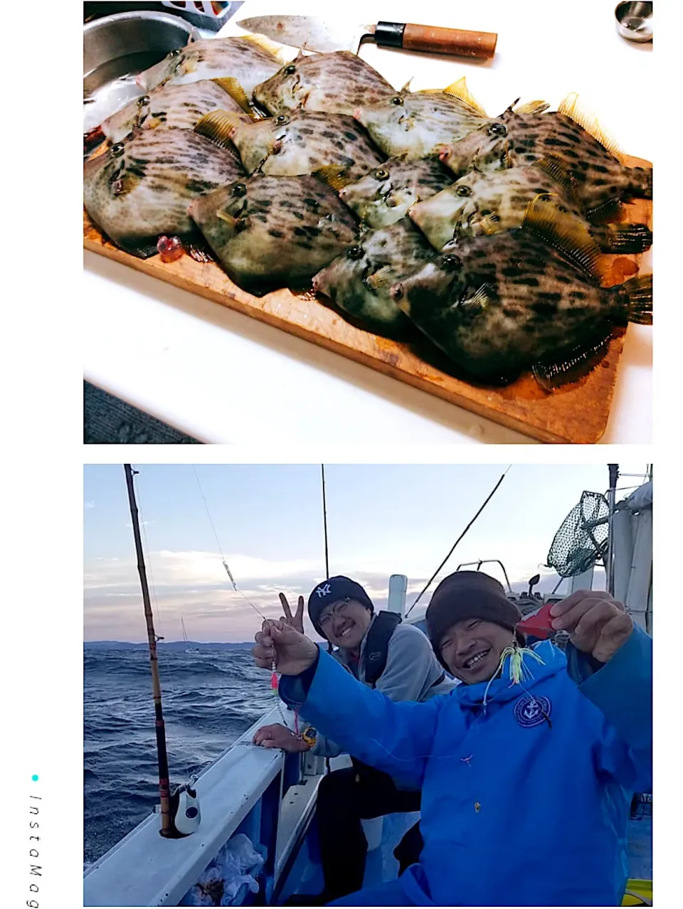 さあ〜これからカワハギパーティ😻🐟
鍋かな❣️肝和えのお刺身かな👀❓|アライさんさん