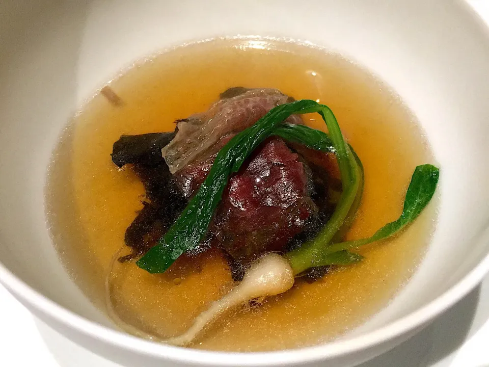 Snapdishの料理写真:Consommé soup|Sergey Grisさん