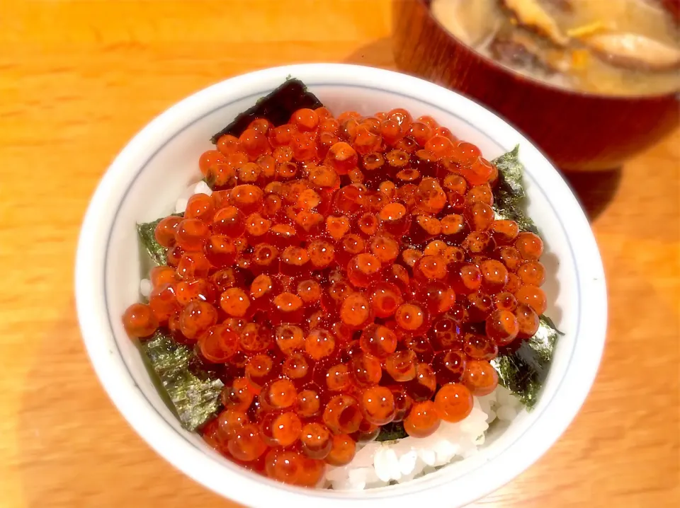 いくら丼
 #いくら丼 #去年の自家製冷凍いくら  #海苔|doc3387さん