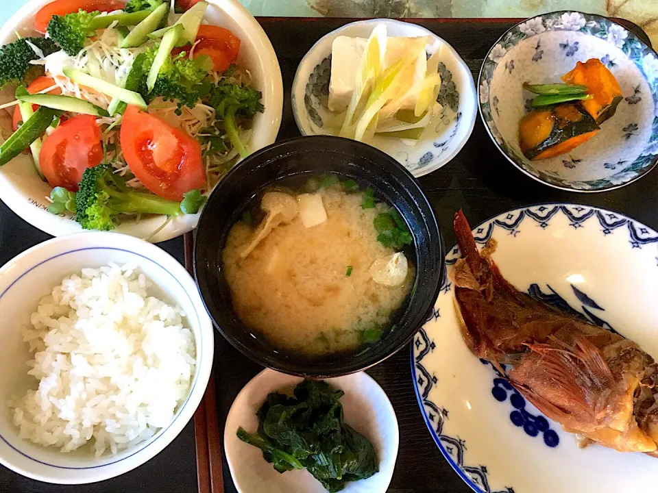 本日の昼食です。メバルの煮付け、カボチャの煮物、湯豆腐、ほうれん草のおひたし、サラダ、味噌汁、御飯少々です。|詳智　片山さん