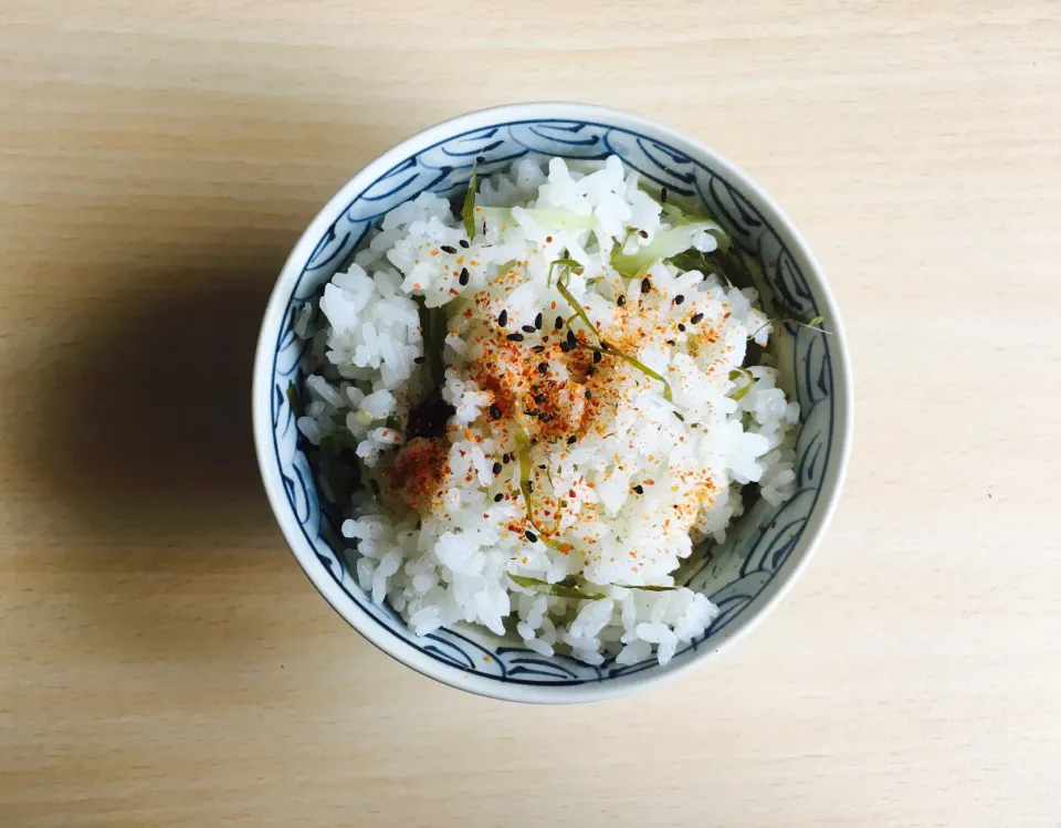 ネギの炊き込みご飯|長い谷の川さん