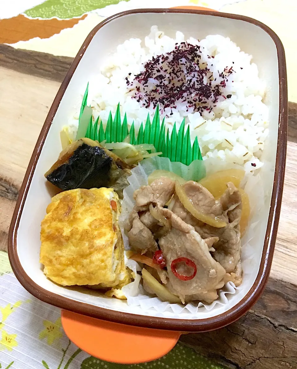 単身赴任の昼ごはん☀️✨
お弁当🍱
大根と豚肉のオイスターソース煮
ツナと人参🥕の卵焼き
焼き塩鯖
もやしの塩昆布和え
麦飯 ゆかり
 #単身赴任飯  #大根のオイスター煮  #塩昆布  #ツナと人参|ぽんたさん