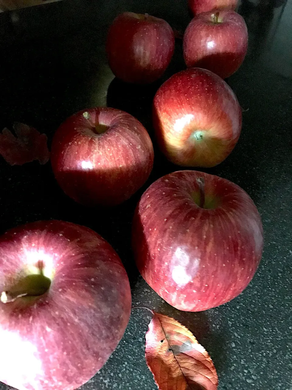 頂き物その2
りんご林檎🍎|シュトママさん