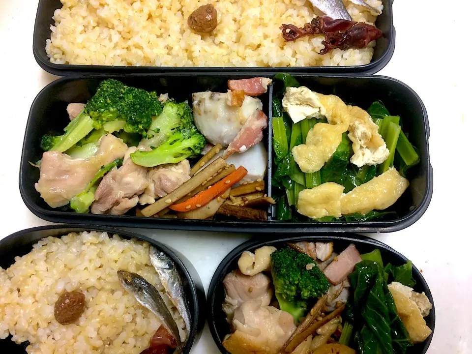 #今日のお弁当 鶏とブロッコリーの炒め物、里芋の煮物、きんぴらごぼう、小松菜と油揚げの炒め煮|Victoryageさん