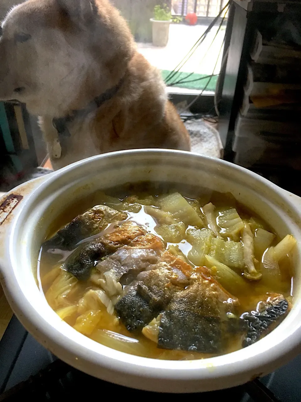 鯖鍋第二段は味噌カレー味🐟ポイントはトマトベースと違い鯖を焼き過ぎない🍲|Tarou  Masayukiさん