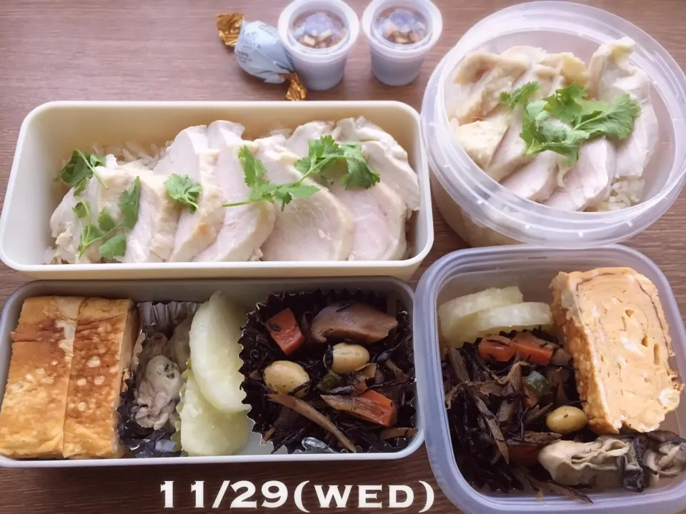 11/29 お弁当|もっちさん