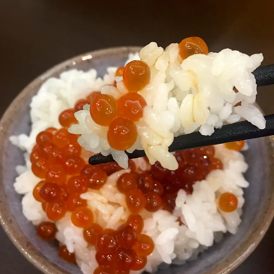 Snapdishの料理写真:#筋子   #いくらの醤油漬け|ヨッチャンさん