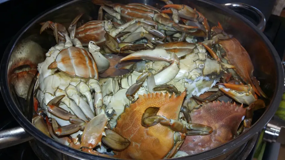 Snapdishの料理写真:steamed blue claw crabs|steven z.y.さん