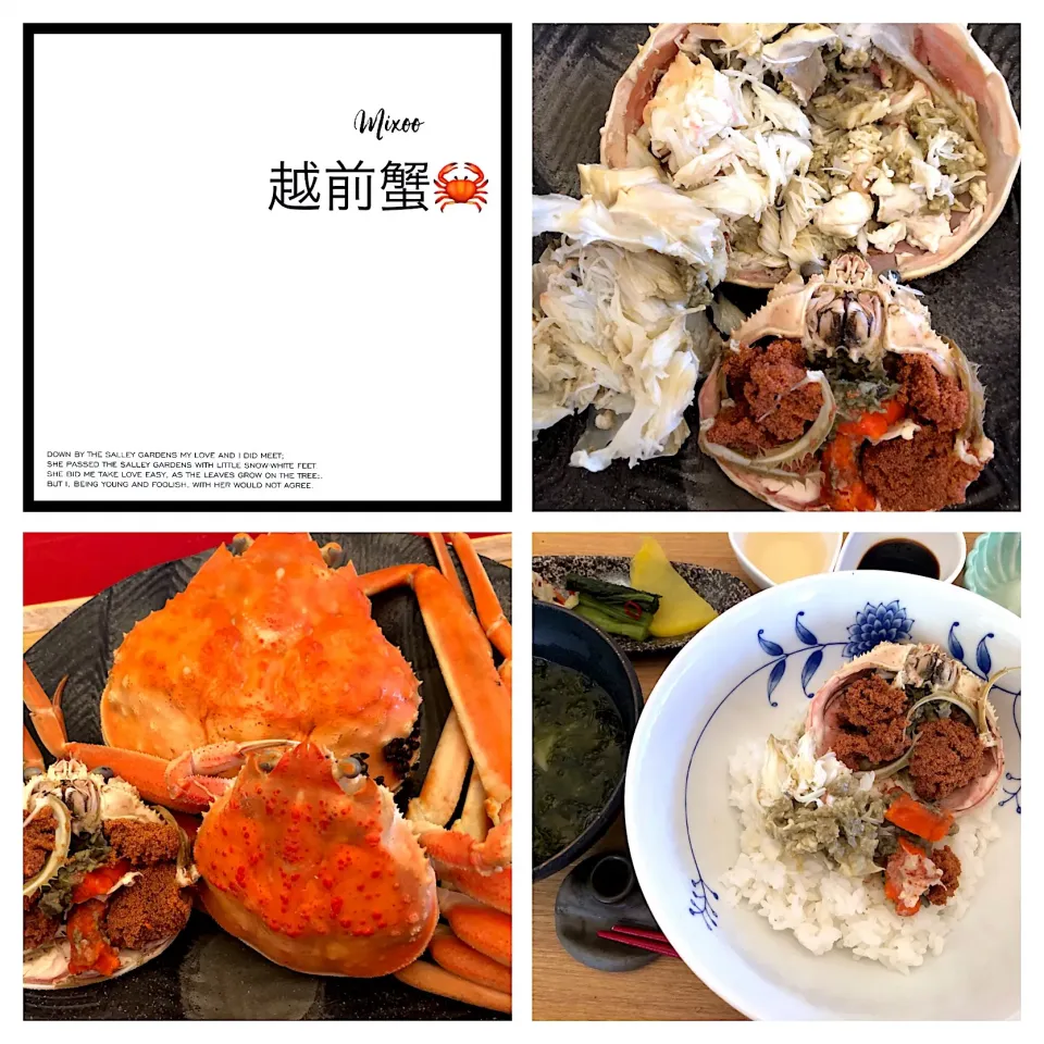 越前ガニ🦀 美味しい蟹の季節です。 〆は、みそ丼and蟹でとった出汁の焼き海苔のお味噌汁♡|AKUBI*:ஐ(●˘͈ ᵕ˘͈)さん