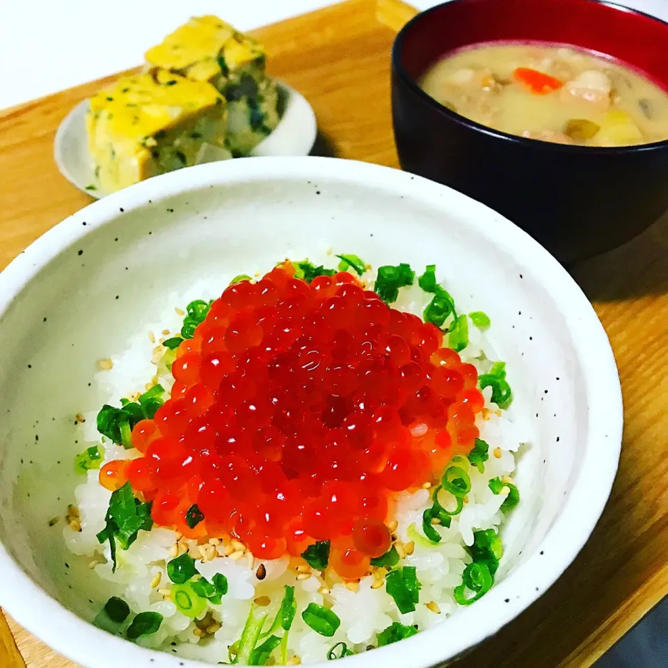 いくら丼&豚汁&擬製豆腐|エリさん