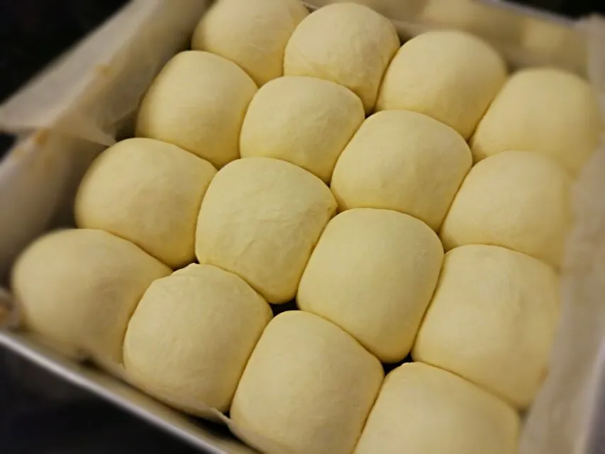 Thermomix bread dough|Ee Shanさん