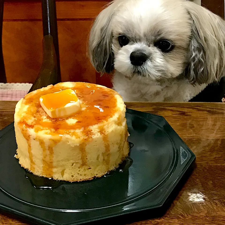 ハッピー🐶と最強のホットケーキ|Toru Satoさん