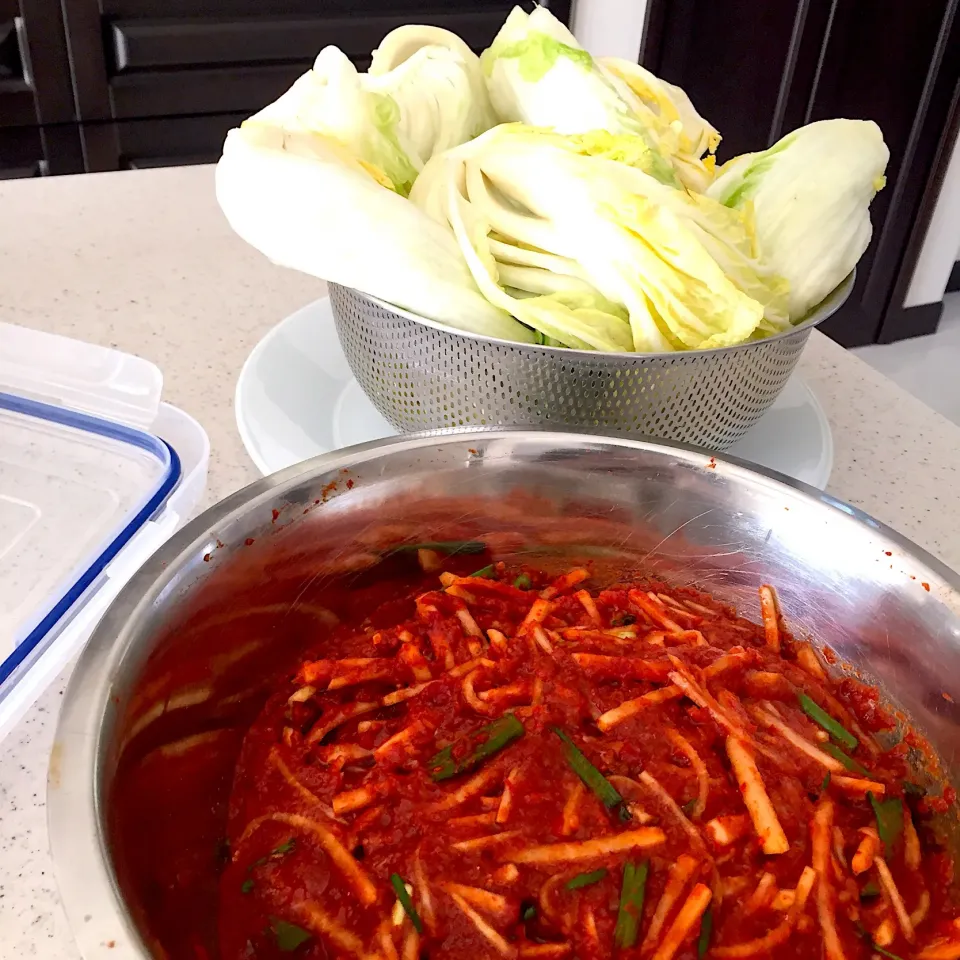 Snapdishの料理写真:今日もキムチ作り👯‍♀️🌶 ヤンニョム完成塗り塗りしていきますよ🌶✨ ＃手作りキムチ|ヨッチャンさん