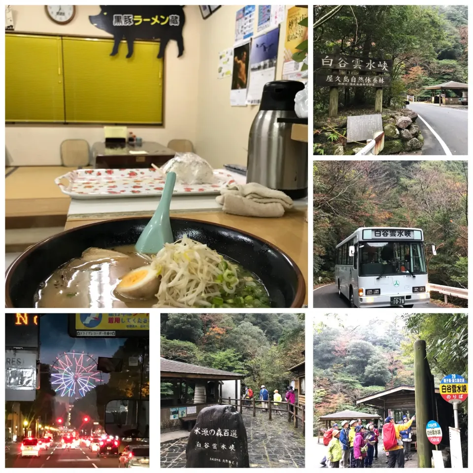 屋久島白谷雲水峡 黒豚ラーメン|肉大好きさん