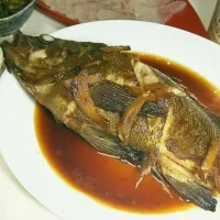 Snapdishの料理写真:Simmered black rockfish メバルの煮付け